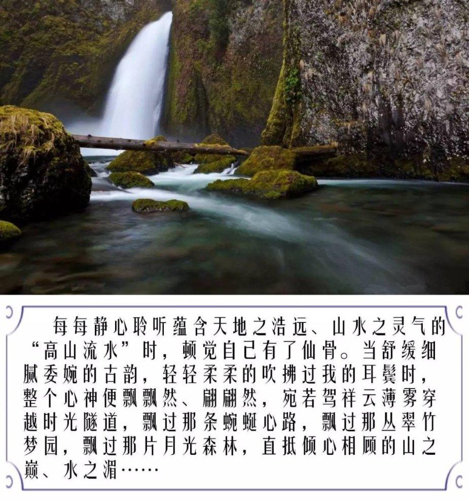 最美的校园女生64